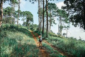 BIB: 
                            <button type="button" onclick="openModal(25677546)" class="btn btn-primary btn-sm float-right btn-popup" data-toggle="modal" data-target=".modal-high-quality">
                        <i class="fas fa-shopping-cart"></i> Add to Cart
                    </button>
                                            <button type="button" onclick="isThisMe(25677546, true)" class="btn btn-success btn-sm float-right btn-popup btn-isme hidden" data-toggle="tooltip" data-placement="bottom" title="นี่คือรูปของคุณใช่ไหม คลิกที่นี่เพื่อเอาเข้าอัลบั้ม">
                        <i class="fas fa-plus"></i> Add to album
                    </button>
                    <button type="button" onclick="isThisMe(25677546, false)" class="btn btn-warning btn-sm float-right btn-popup btn-isnotme hidden">
                        <i class="fas fa-ban"></i> Remove from album
                    </button>